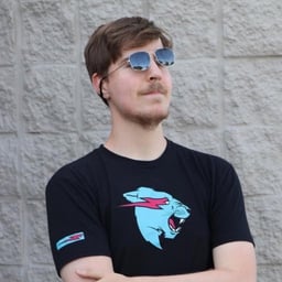 profile image for MrBeast