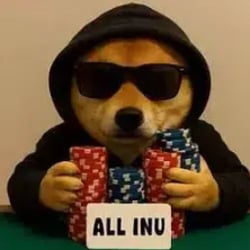 allinu-image