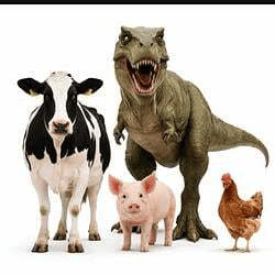 animaltwt-image