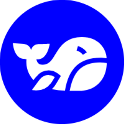 bigshortbets-image