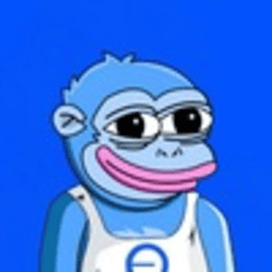 bonkey-image