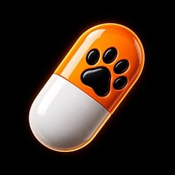 catpad-image