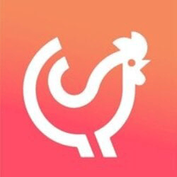 chickencoin-image