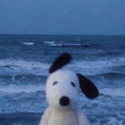 doug-2-image