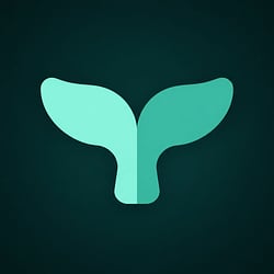 fluke-image