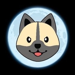 gatsby-inu-new-image