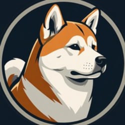 hachiko-3-image