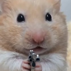 hamster-wif-gun-image