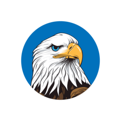 hawk-2-image