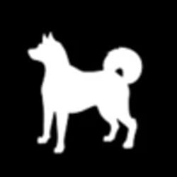 inu-token-63736428-0d5c-4281-8038-3e62c35ac278-image