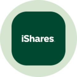 ishares-j-p-morgan-em-local-currency-bond-etf-ondo-tokenized-image