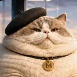 le-gros-chaton-image