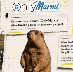 onlymarms-image