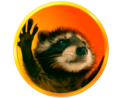 pedro-the-raccoon-image