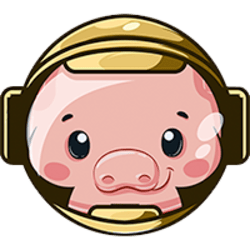 pig-finance-image