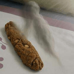 poop-aura-image