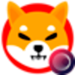 shiba-inu-wormhole-image