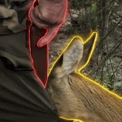 the-rousseauian-deer-image