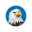 hawk-2