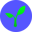 radicle