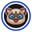 siamese